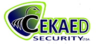 Logo Cekaed